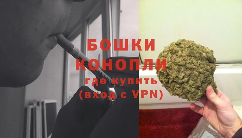 Бошки Шишки THC 21%  Электрогорск 